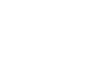 Hotel Arian